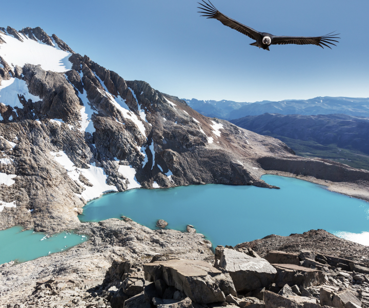 雅黑為大型集團(tuán)設(shè)計(jì)多元化網(wǎng)站