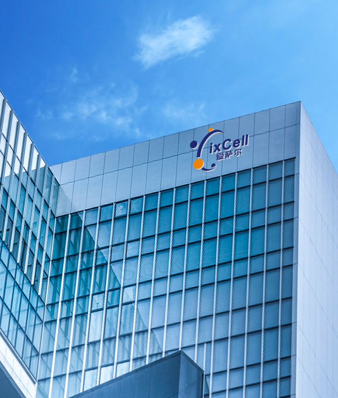 品牌vi設(shè)計(jì)