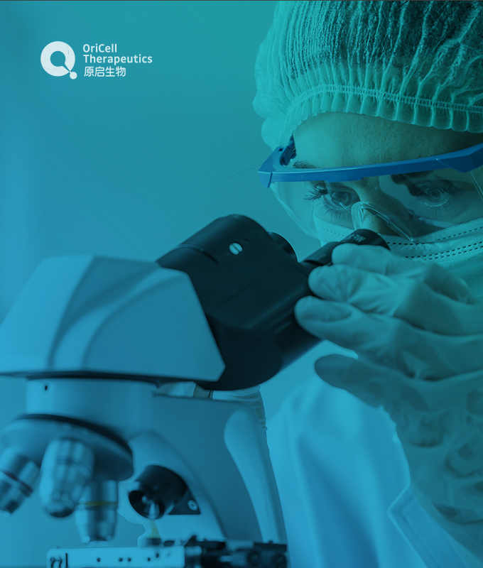 專業(yè)網(wǎng)站制作公司