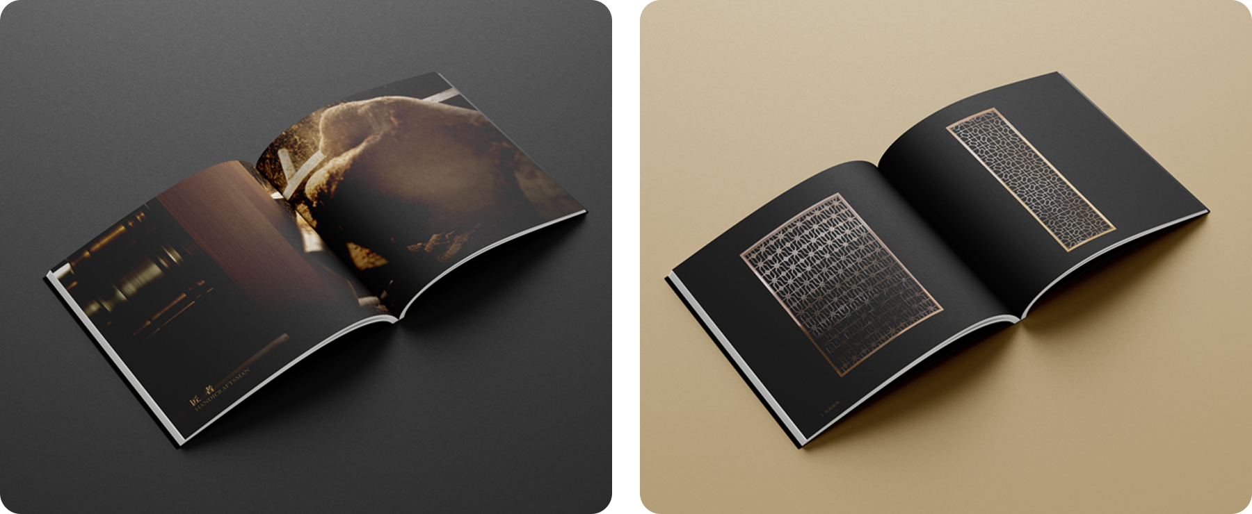 宣傳冊(cè)設(shè)計(jì)png